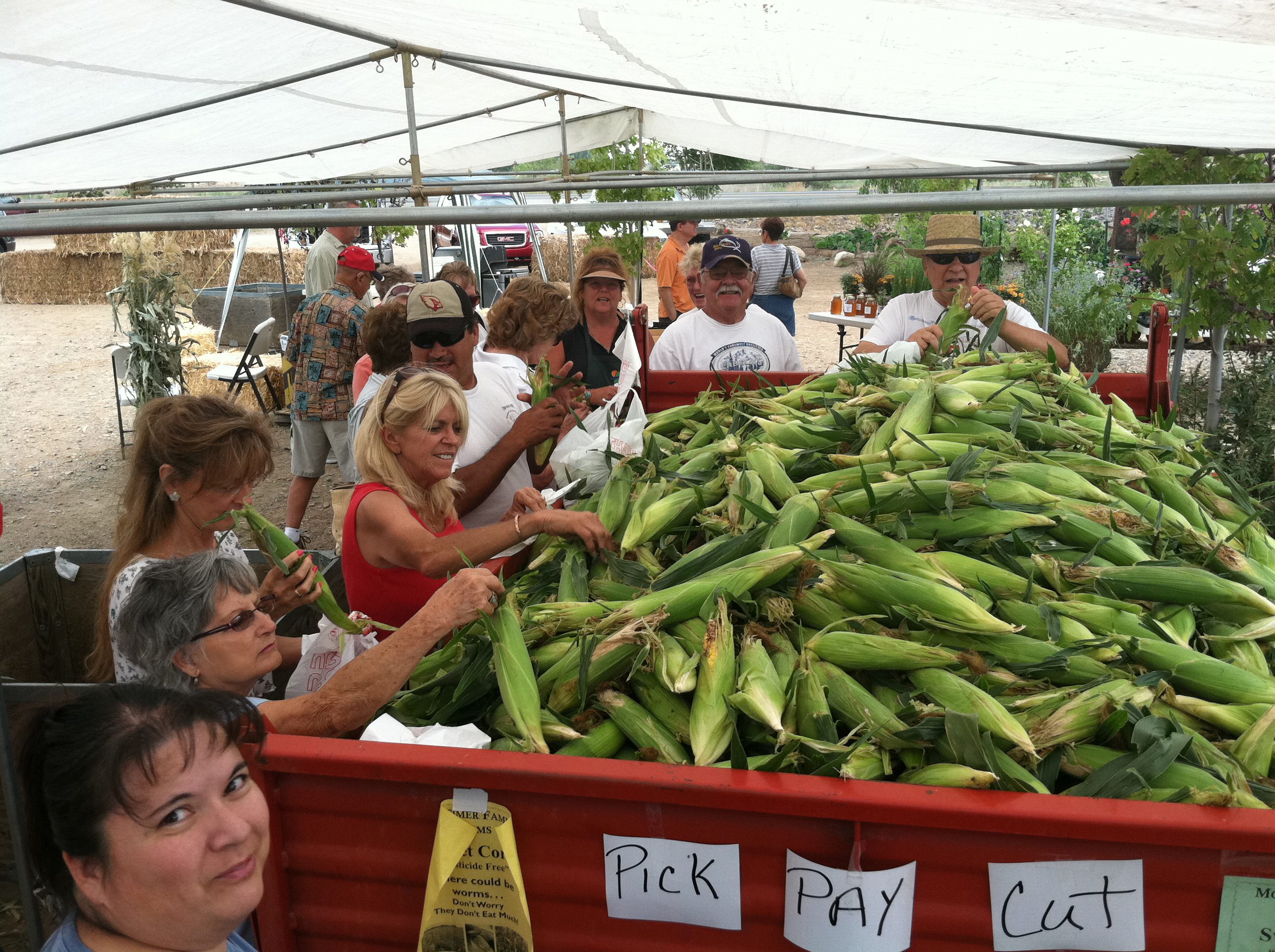 The Cody Anne Team, Corn Harvest Festival, Prescott, AZ, Arizona