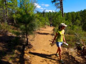 Cody Anne Yarnes, The Cody Anne Team, Prescott, AZ, Arizona, Highlands Center for Natural History